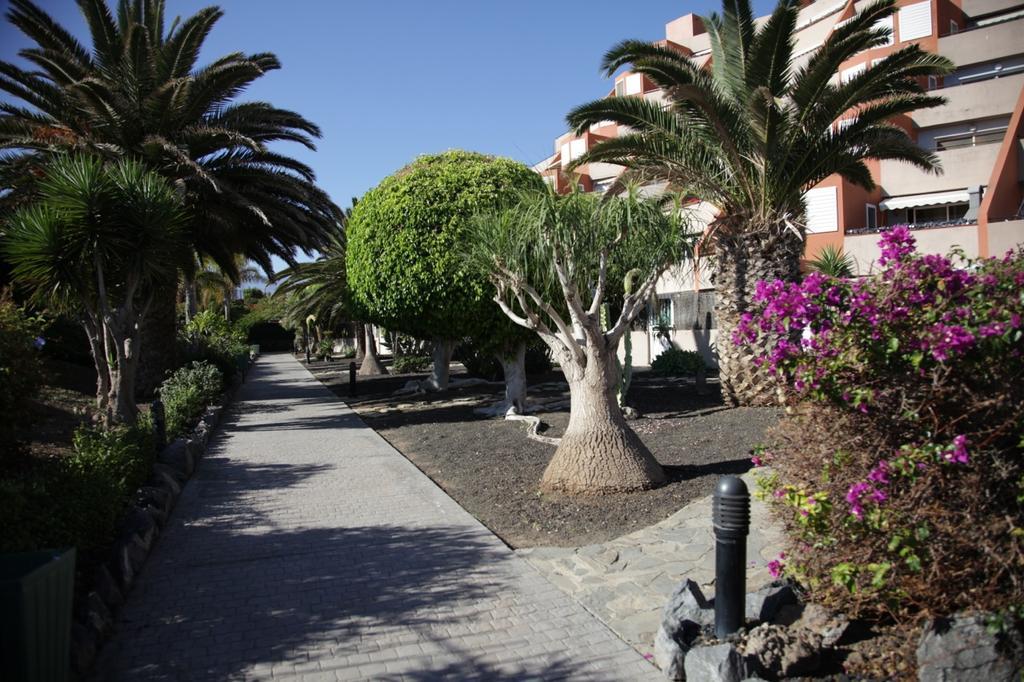 Apartamento El Cano Radazul Exterior photo